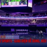 Essportbill E Sports - Giao Diện Dễ Dùng, Kèo Cược Ổn Định