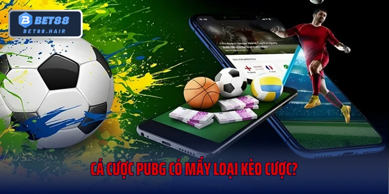 Cá Cược PUBG Có Mấy Loại Kèo Cược? Mẹo Hay Ẵm Trọn Tiền Nhà Cái