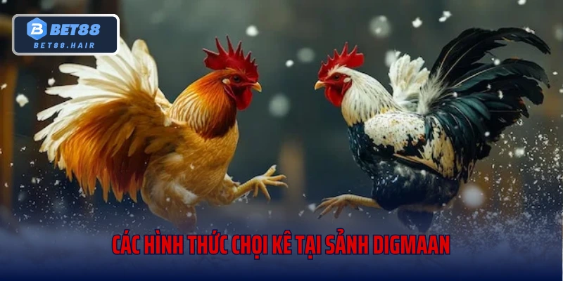 Các hình thức chọi kê tại sảnh Digmaan