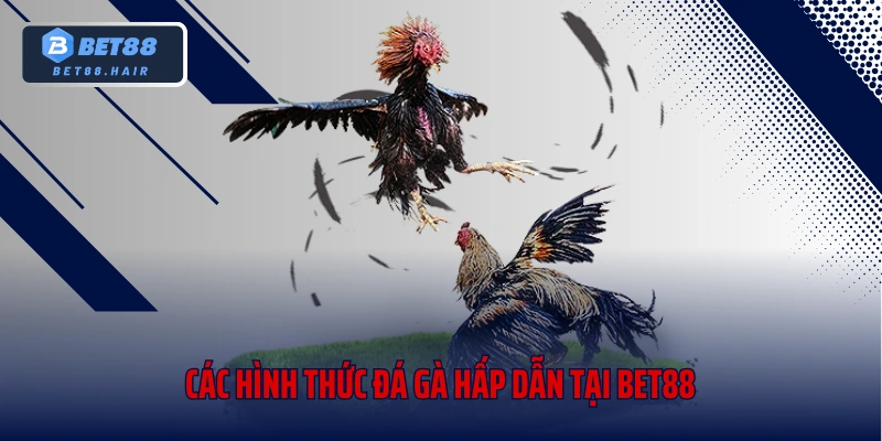 Các hình thức đá gà hấp dẫn tại Bet88