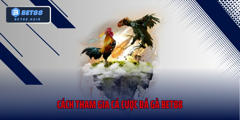Cách tham gia cá cược đá gà Bet88
