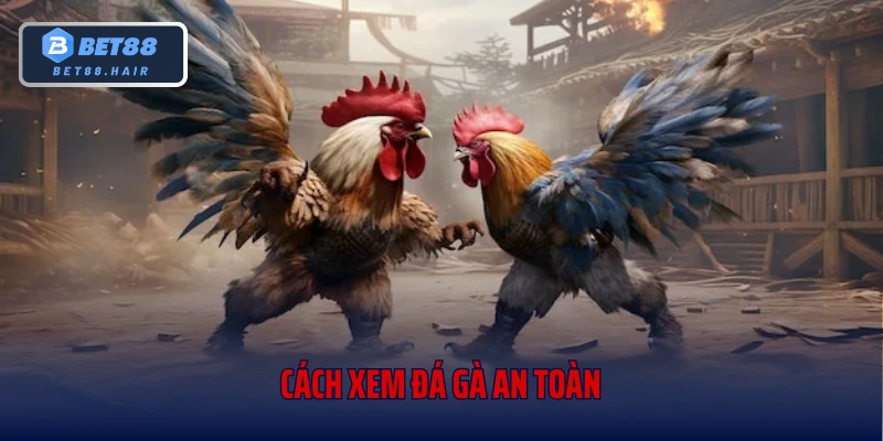 Cách xem đá gà an toàn