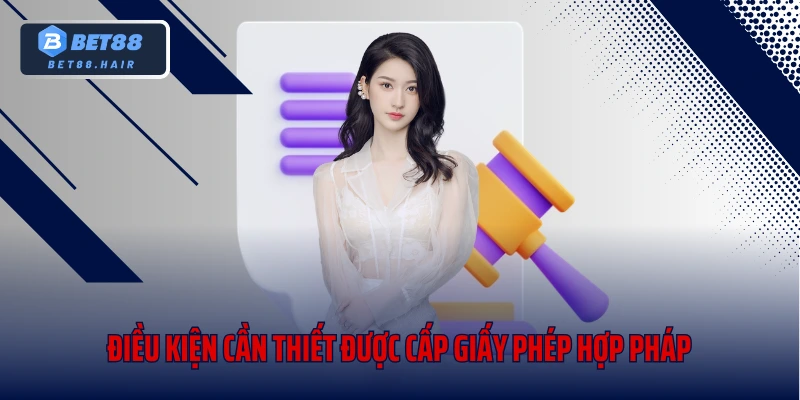 Điều kiện cần thiết được cấp giấy phép hợp pháp