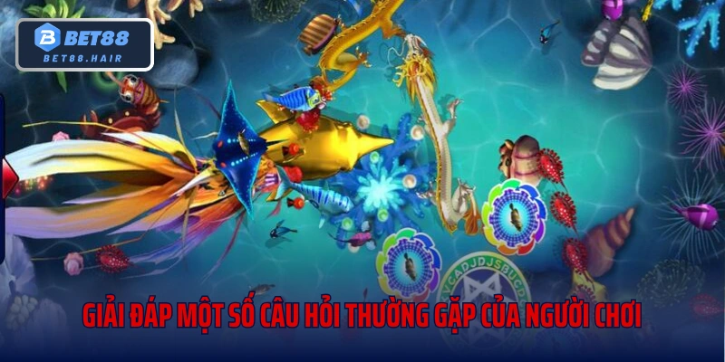 Giải đáp một số câu hỏi thường gặp của người chơi