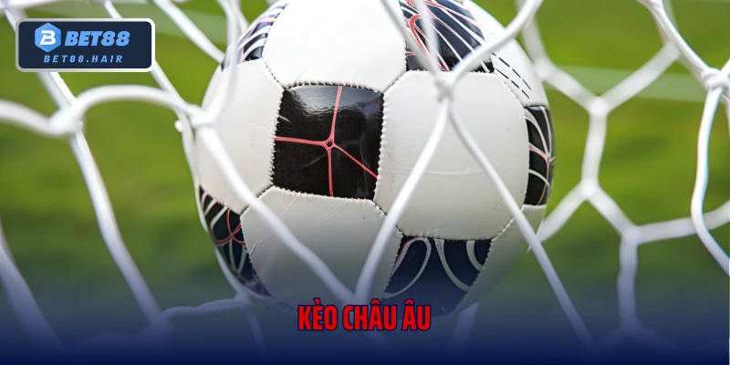 Bật Mí Chi Tiết Về Kèo Châu Âu Cho “Tân Thủ”