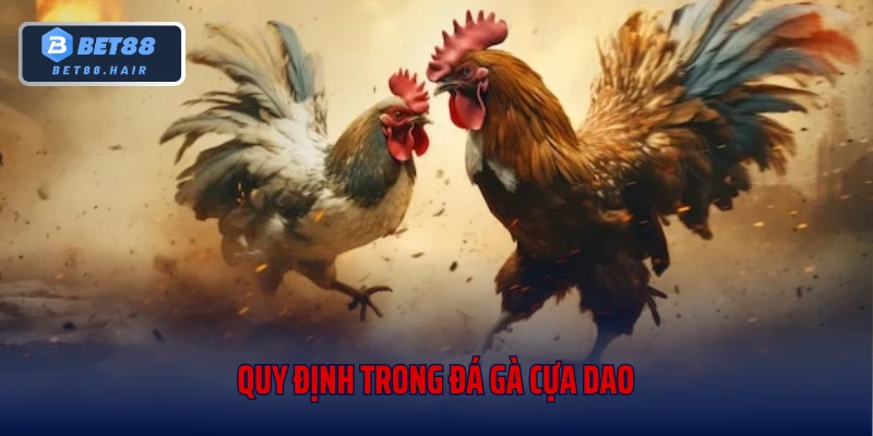 Quy định trong đá gà cựa dao
