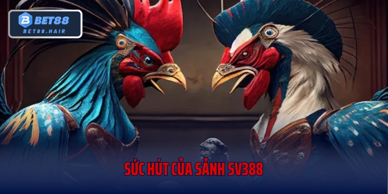 Sức hút của sảnh sv388