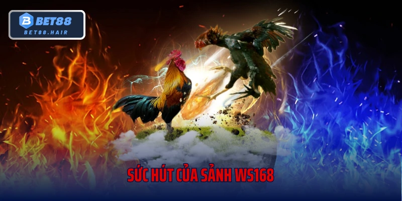 Sức hút của sảnh sảnh WS168