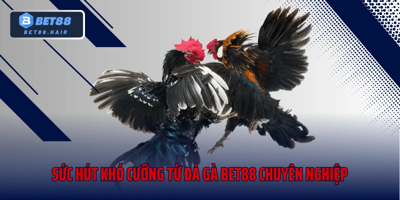 Sức hút khó cưỡng từ đá gà Bet88 chuyên nghiệp
