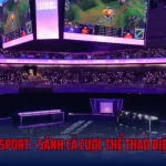 Tf E-Sport - Sảnh Cá Cược Thể Thao Điện Tử Hot Nhất 2025