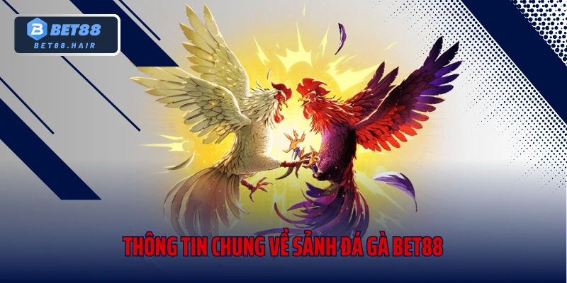 Thông tin chung về sảnh đá gà Bet88