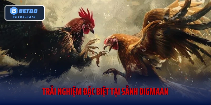 Trải nghiệm đặc biệt tại sảnh Digmaan