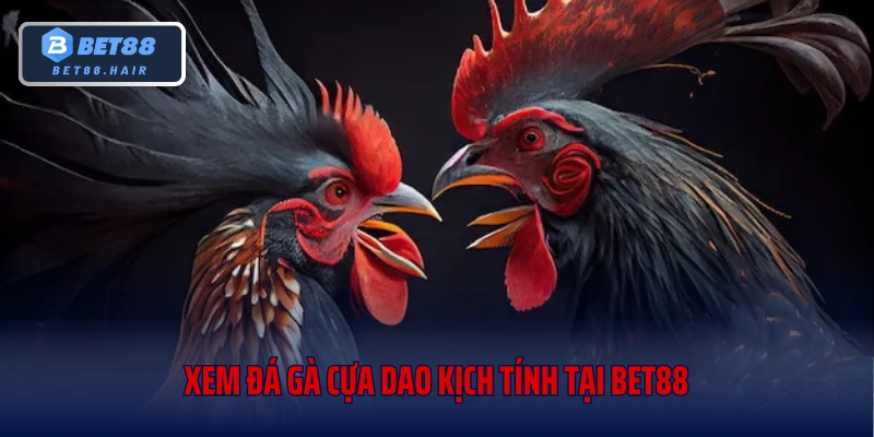 Xem đá gà cựa dao kịch tính tại Bet88